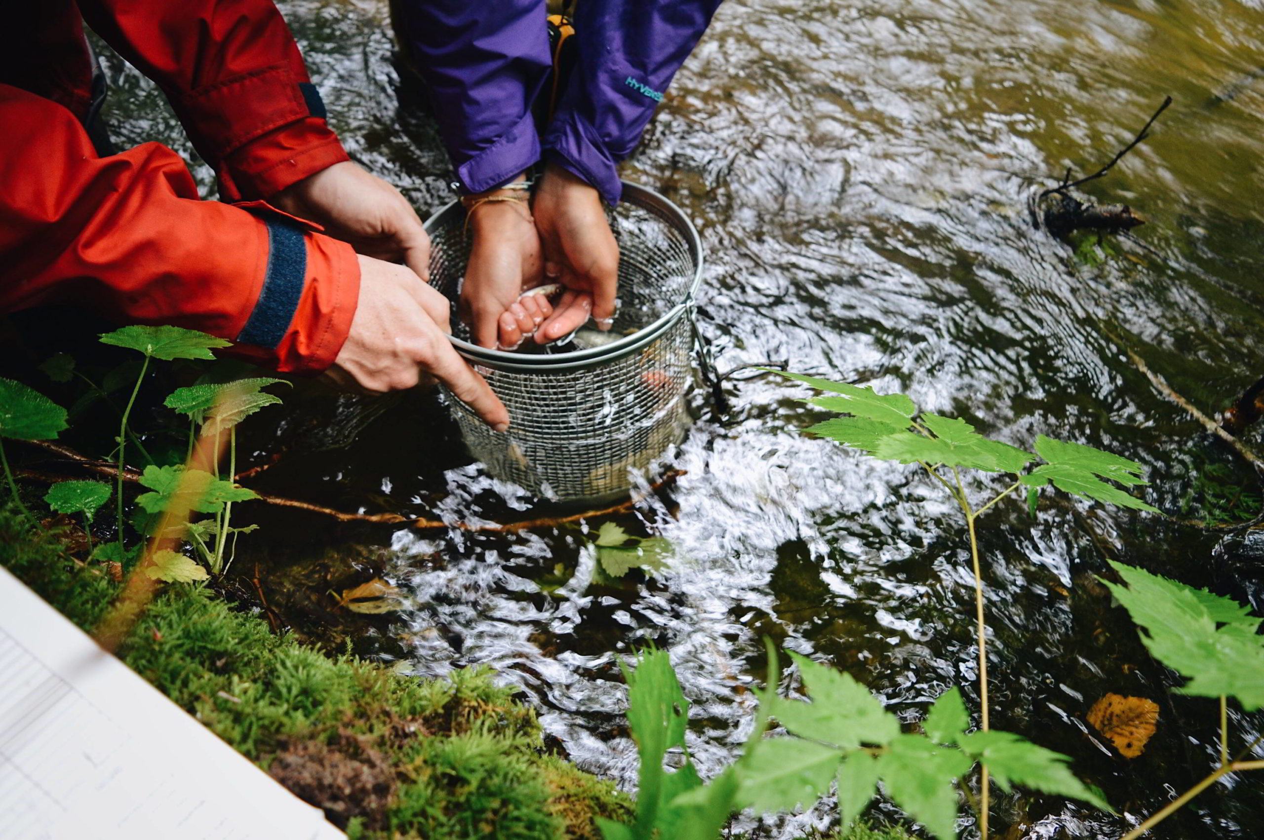 Image of two scientists testing freshwater samples